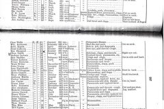 Everywhere Was Death